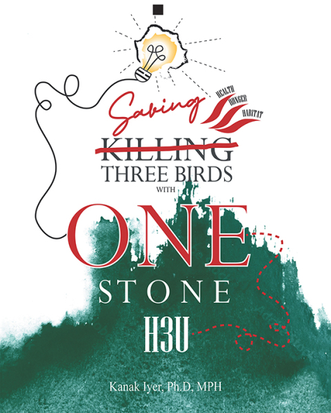 Cover image for book Saving Three Birds with One Stone