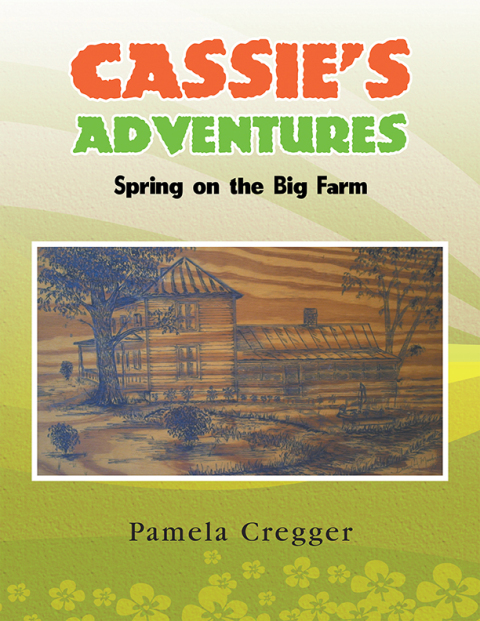 Cover image for book Cassie's Adventures