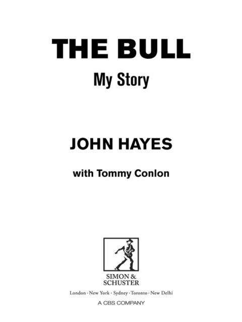 Cover image for book The Bull