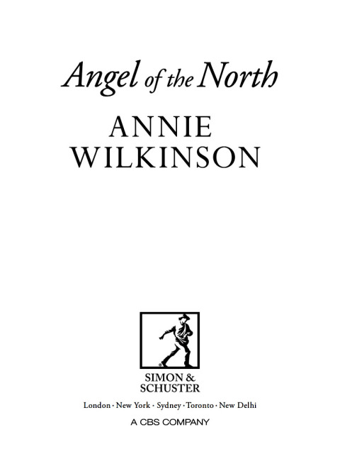 Cover image for book Angel of the North