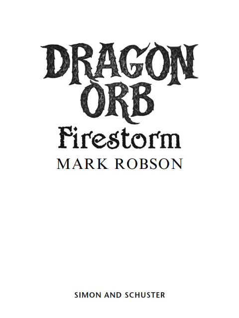 Cover image for book Dragon Orb: Firestorm