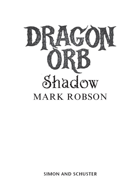 Cover image for book Dragon Orb: Shadow