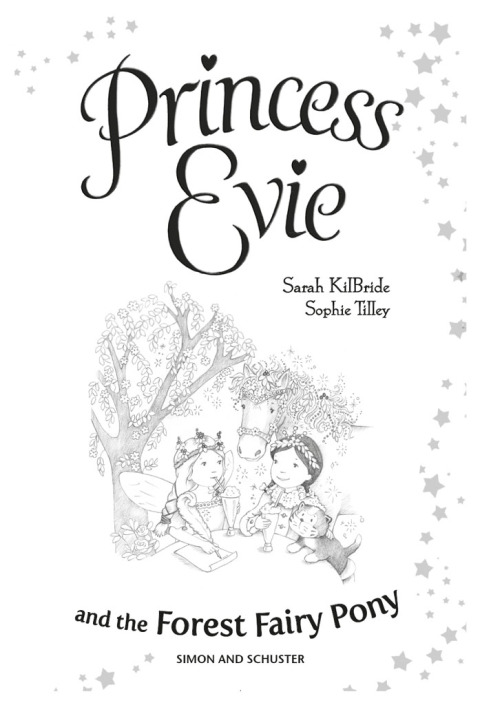Cover image for book Princess Evie: The Forest Fairy Pony