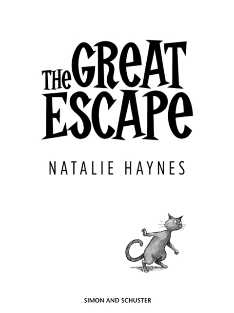 Cover image for book The Great Escape