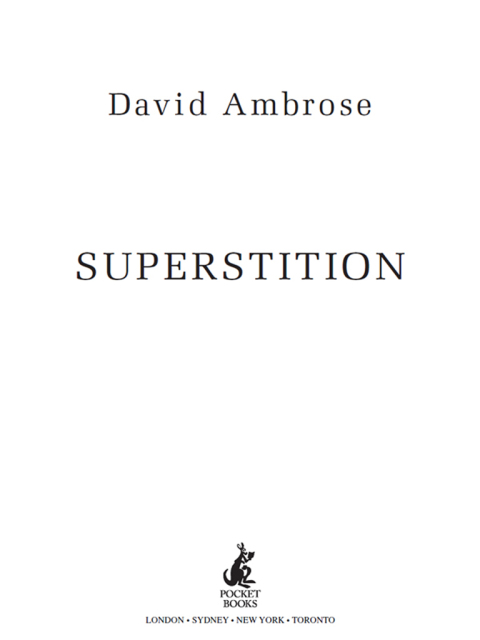 Cover image for book Superstition