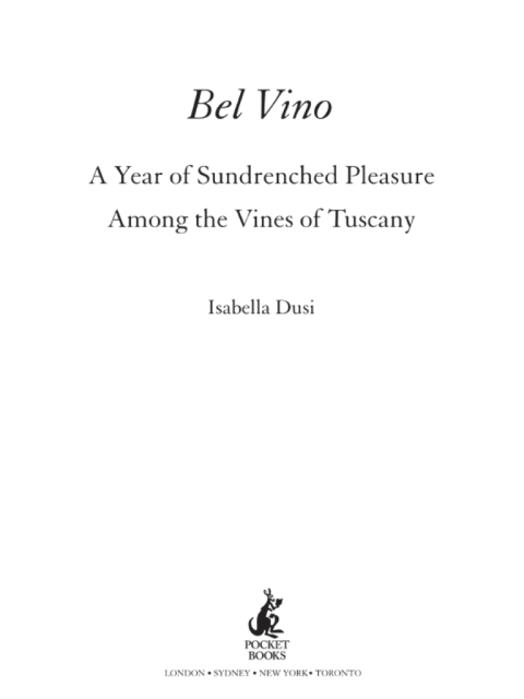 Cover image for book Bel Vino