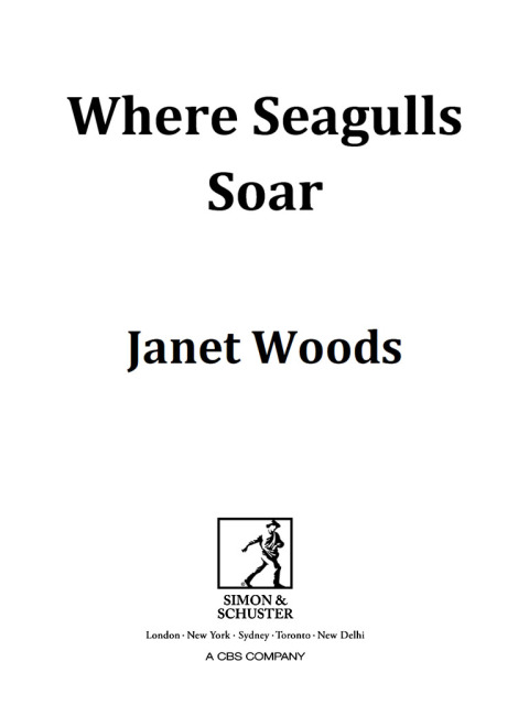 Cover image for book Where Seagulls Soar