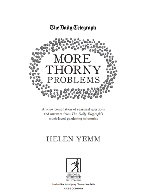 Cover image for book More Thorny Problems