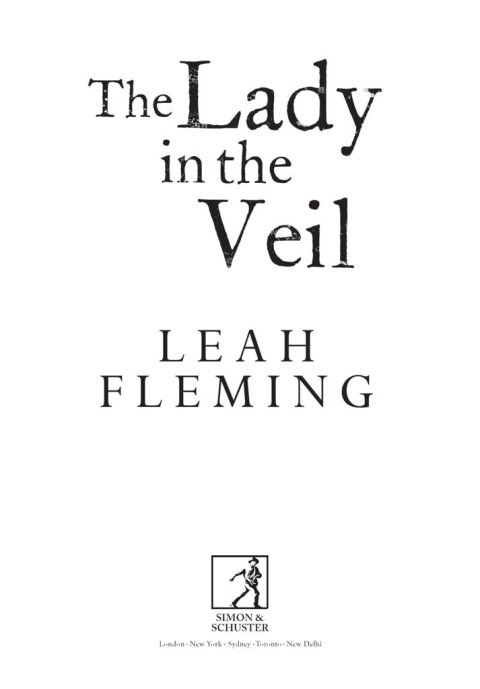 Cover image for book The Lady in the Veil