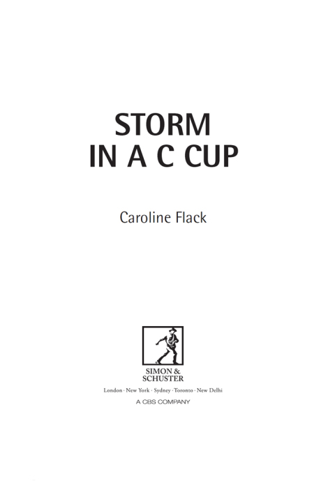 Cover image for book Storm in a C Cup