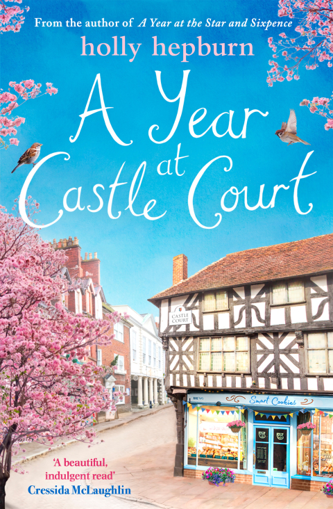 Cover image for book A Year at Castle Court