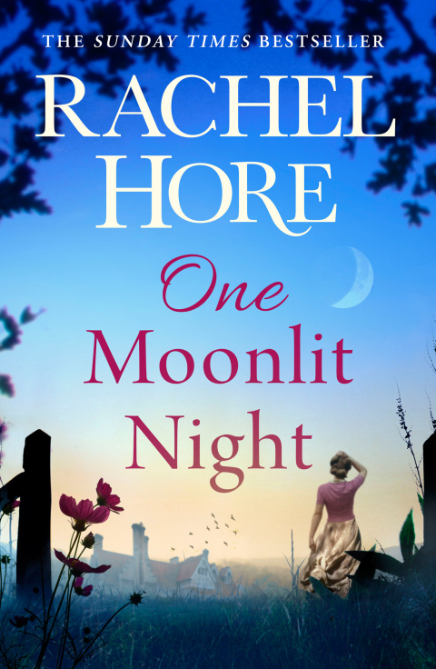 Cover image for book One Moonlit Night