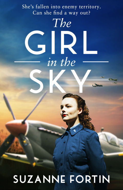Cover image for book The Girl in the Sky