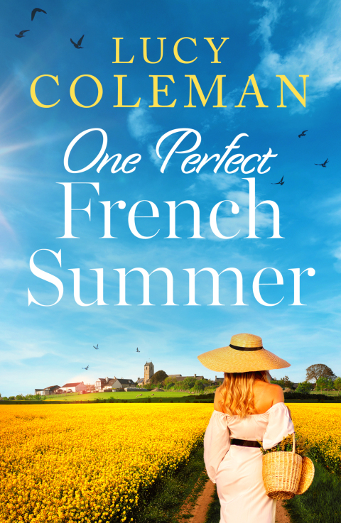 Cover image for book One Perfect French Summer