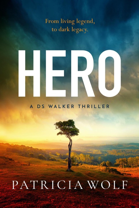 Cover image for book Hero