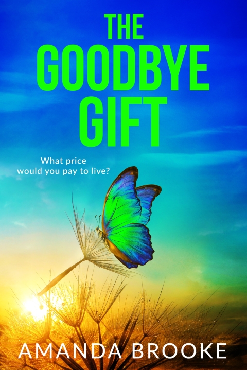 Cover image for book The Goodbye Gift