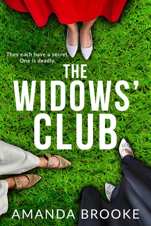 Cover image for book The Widows' Club