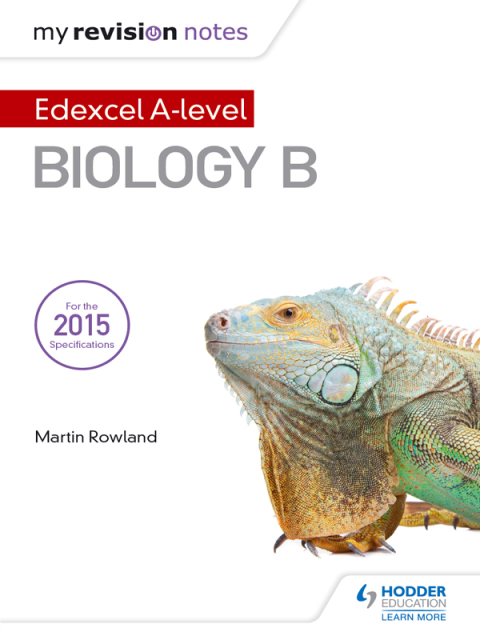 Cover image for book My Revision Notes: Edexcel A Level Biology B
