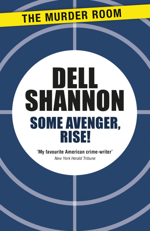 Cover image for book Some Avenger, Rise!