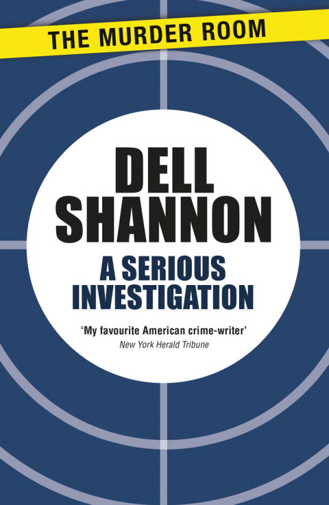 Cover image for book A Serious Investigation