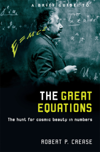 Titelbild: A Brief Guide to the Great Equations 9781845292812