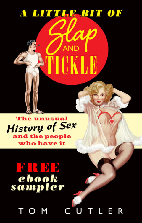 Cover image for book A Little Bit of Slap & Tickle
