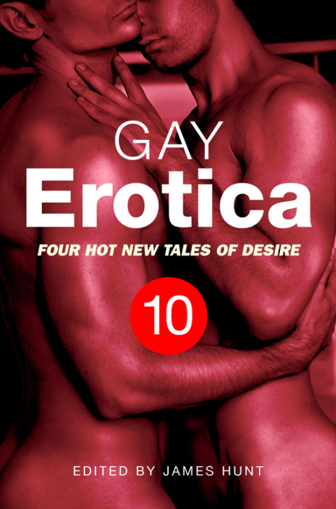 Cover image for book Gay Erotica, Volume 10