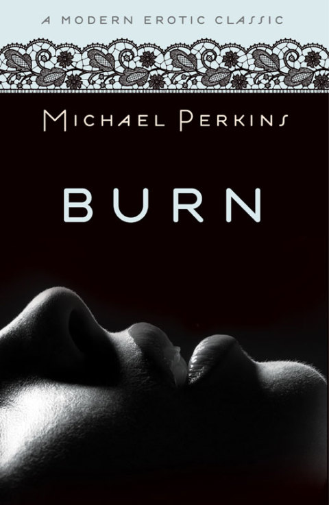 Cover image for book Burn (Modern Erotic Classics)
