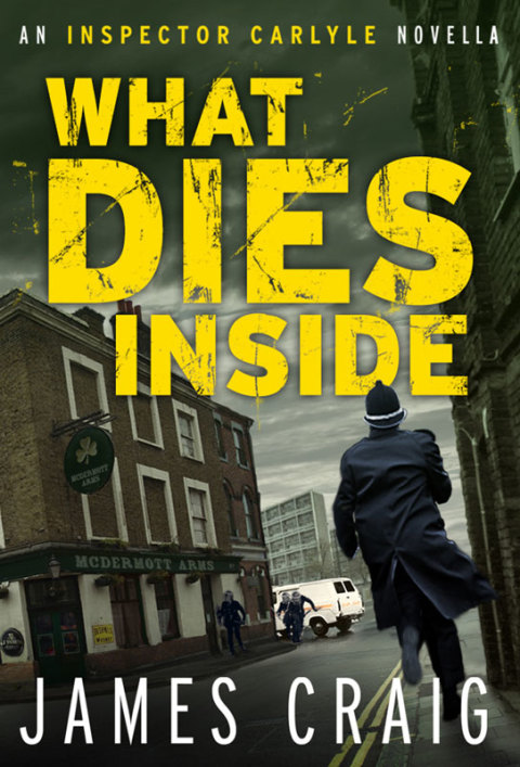 Cover image for book What Dies Inside