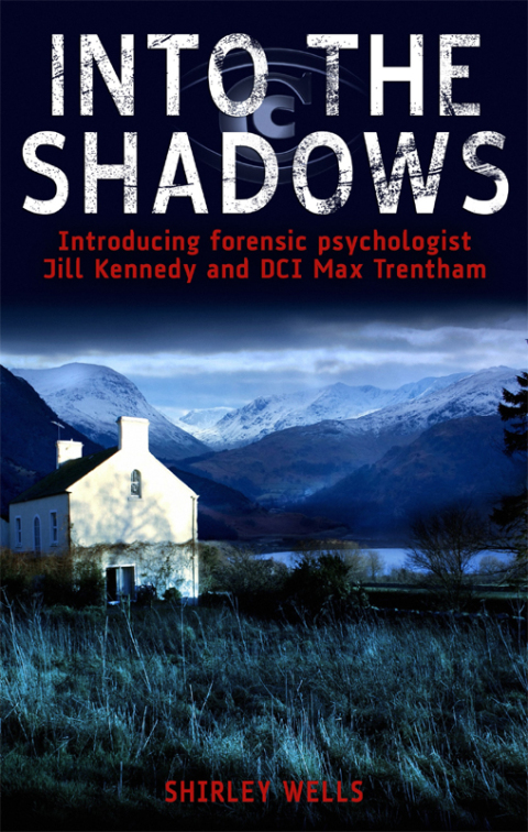Cover image for book Into the Shadows