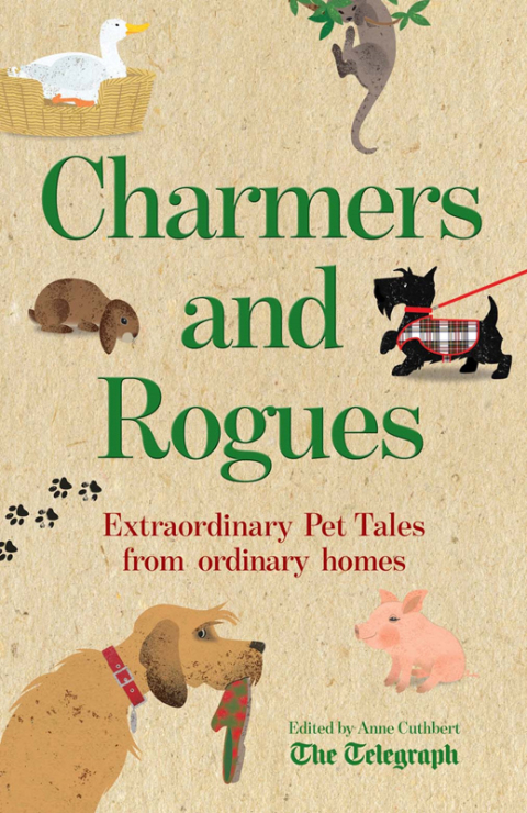 Cover image for book Charmers and Rogues