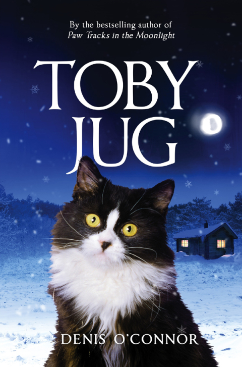 Cover image for book Toby Jug