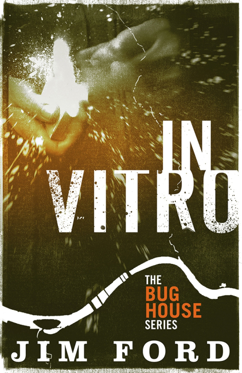 Cover image for book In Vitro