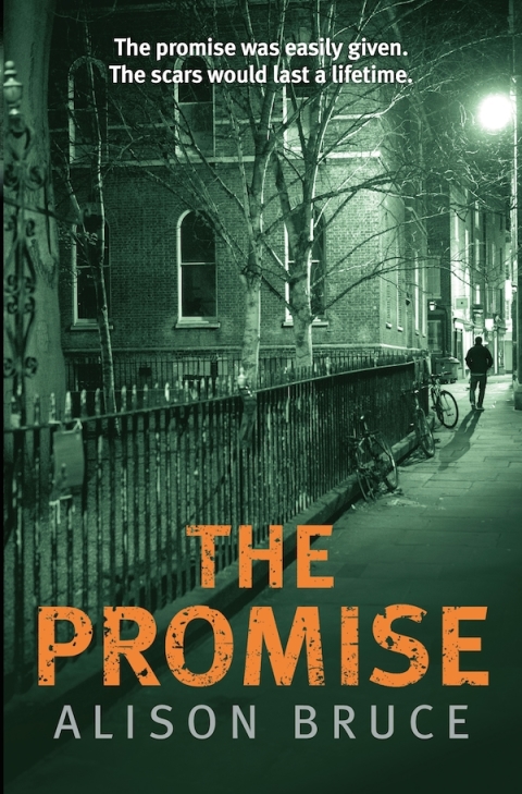 Cover image for book The Promise
