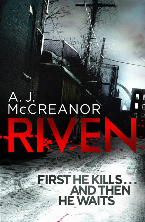 Cover image for book Riven