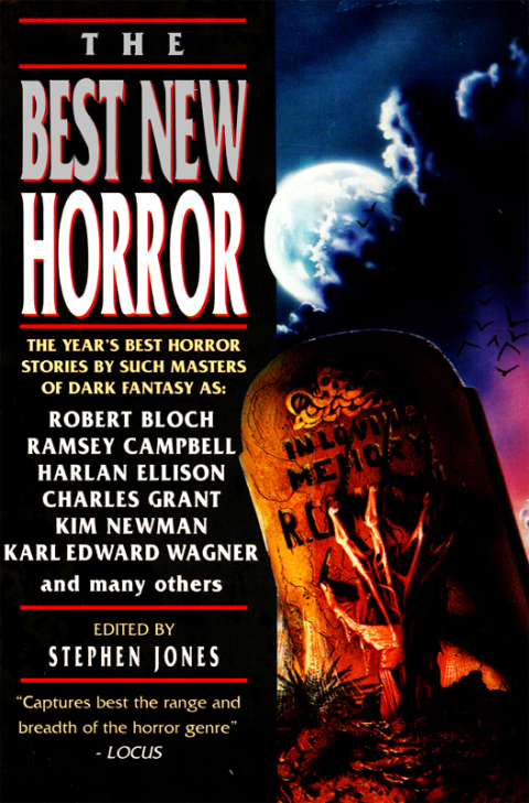 Cover image for book The Best New Horror 6