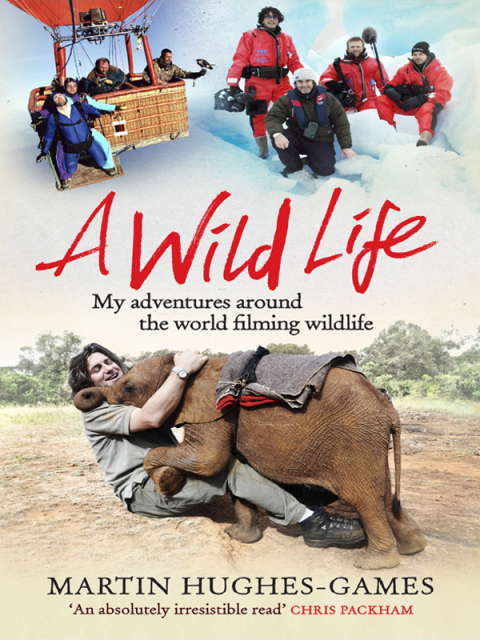 Cover image for book A Wild Life