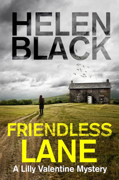Cover image for book Friendless Lane