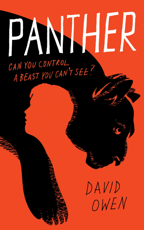 Cover image for book Panther