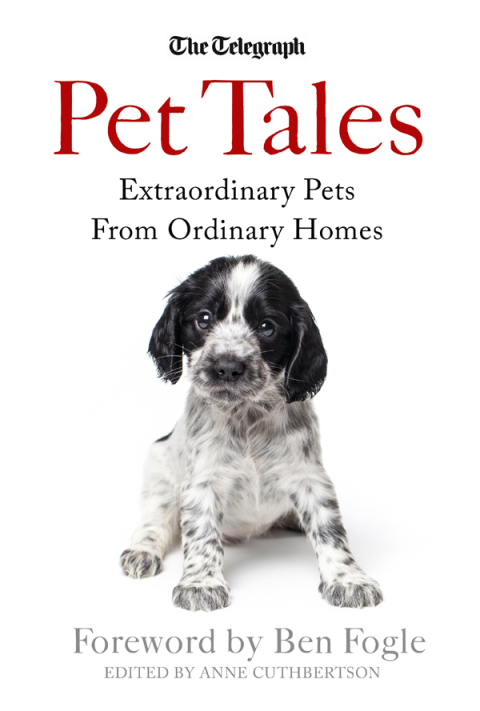 Cover image for book Pet Tales