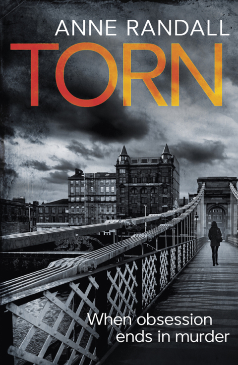 Cover image for book Torn