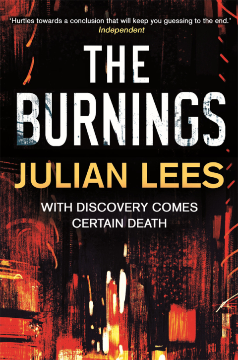 Cover image for book The Burnings