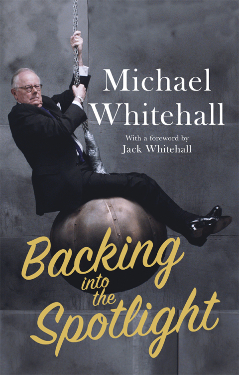 Cover image for book Backing into the Spotlight