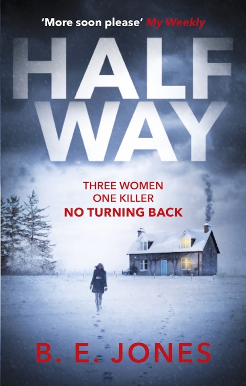 Cover image for book Halfway