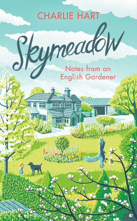 Cover image for book Skymeadow