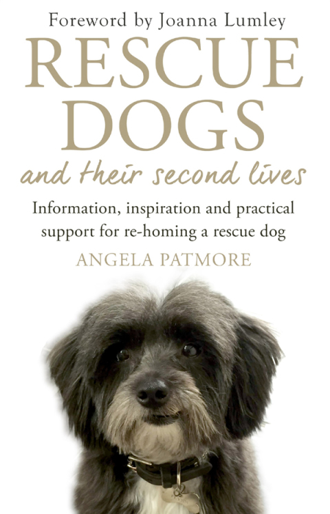 Cover image for book Rescue Dogs and Their Second Lives