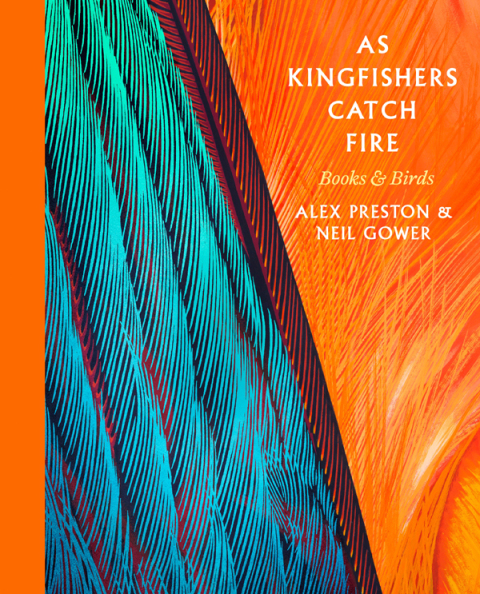 Cover image for book As Kingfishers Catch Fire