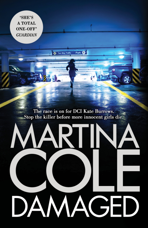 Cover image for book Damaged