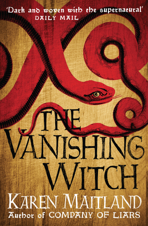 Cover image for book The Vanishing Witch