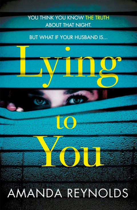 Cover image for book Lying To You
